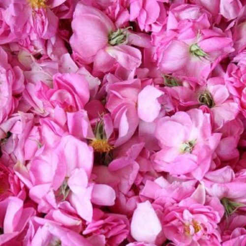  در خلوت این خانه با خویشم و بیگانه